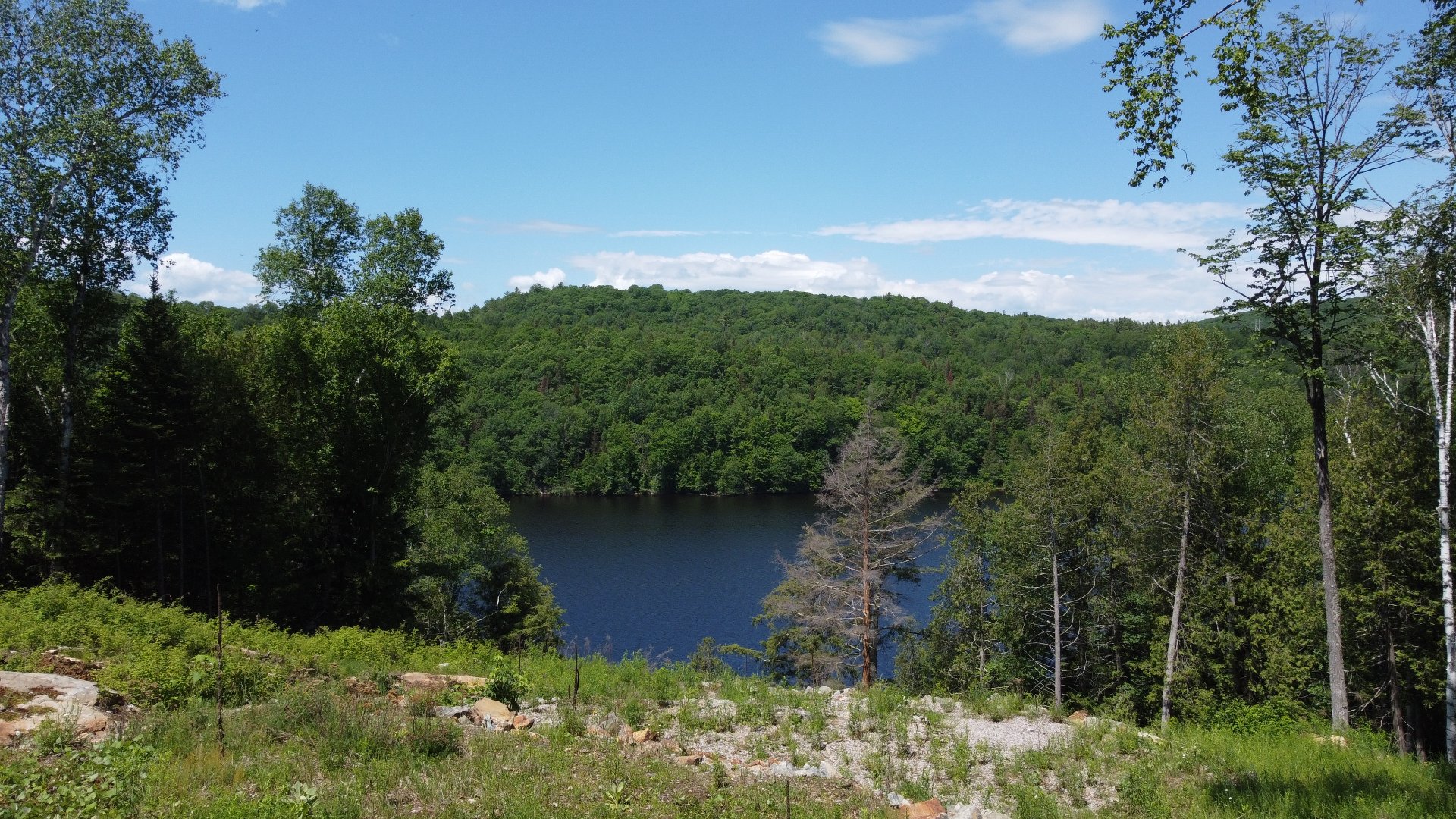 Vue sur l'eau