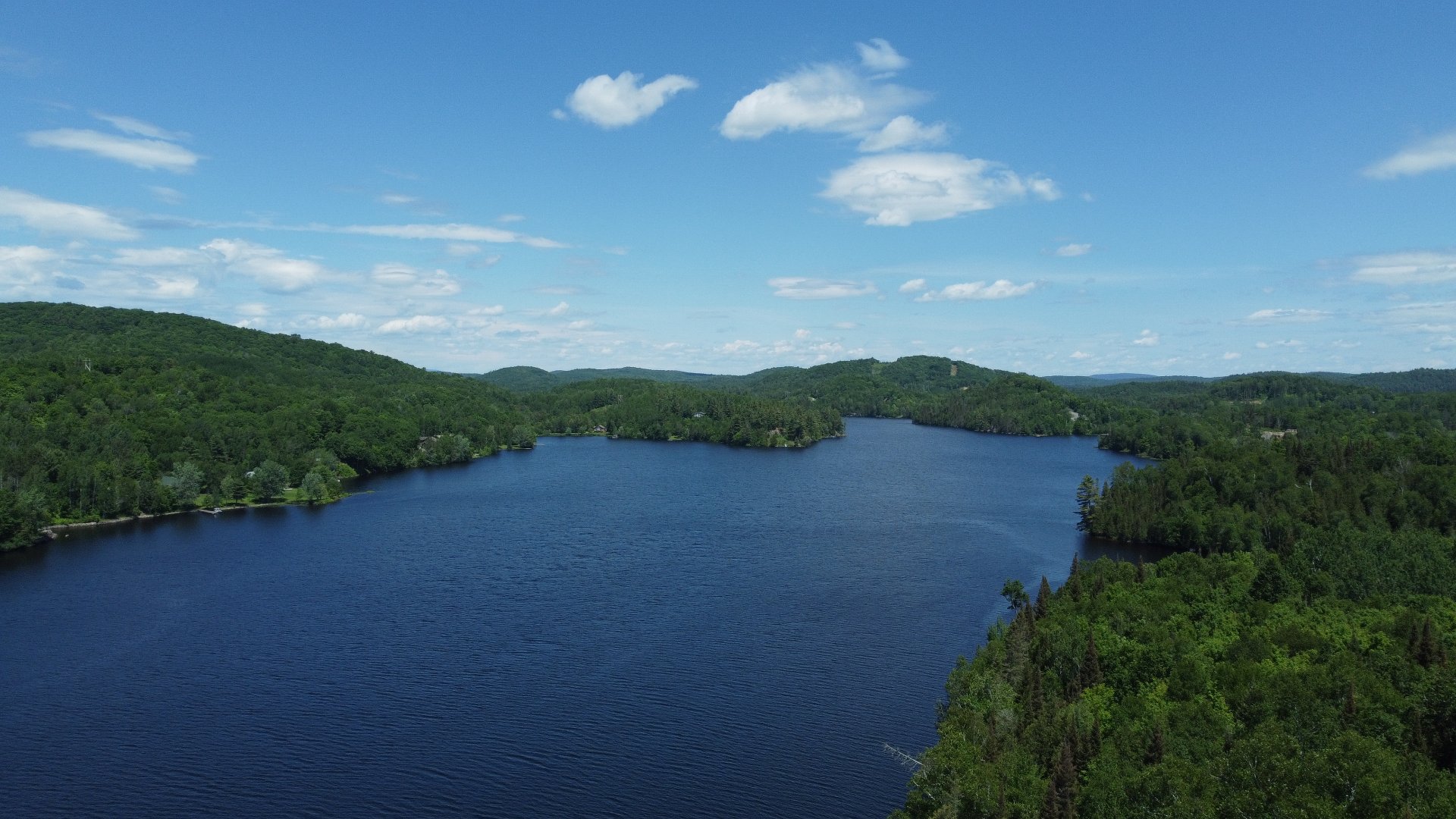 Vue
