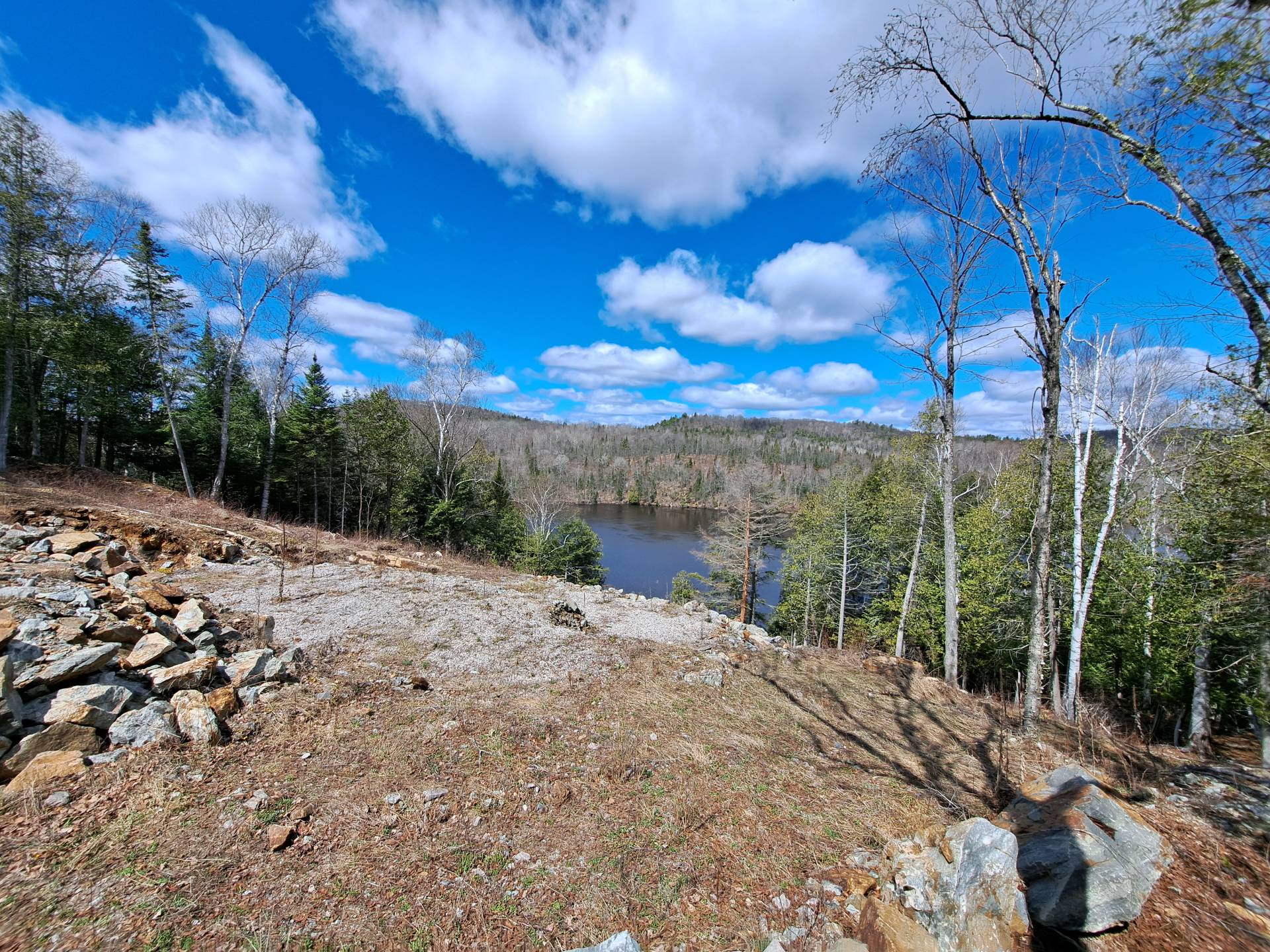 Overall View
