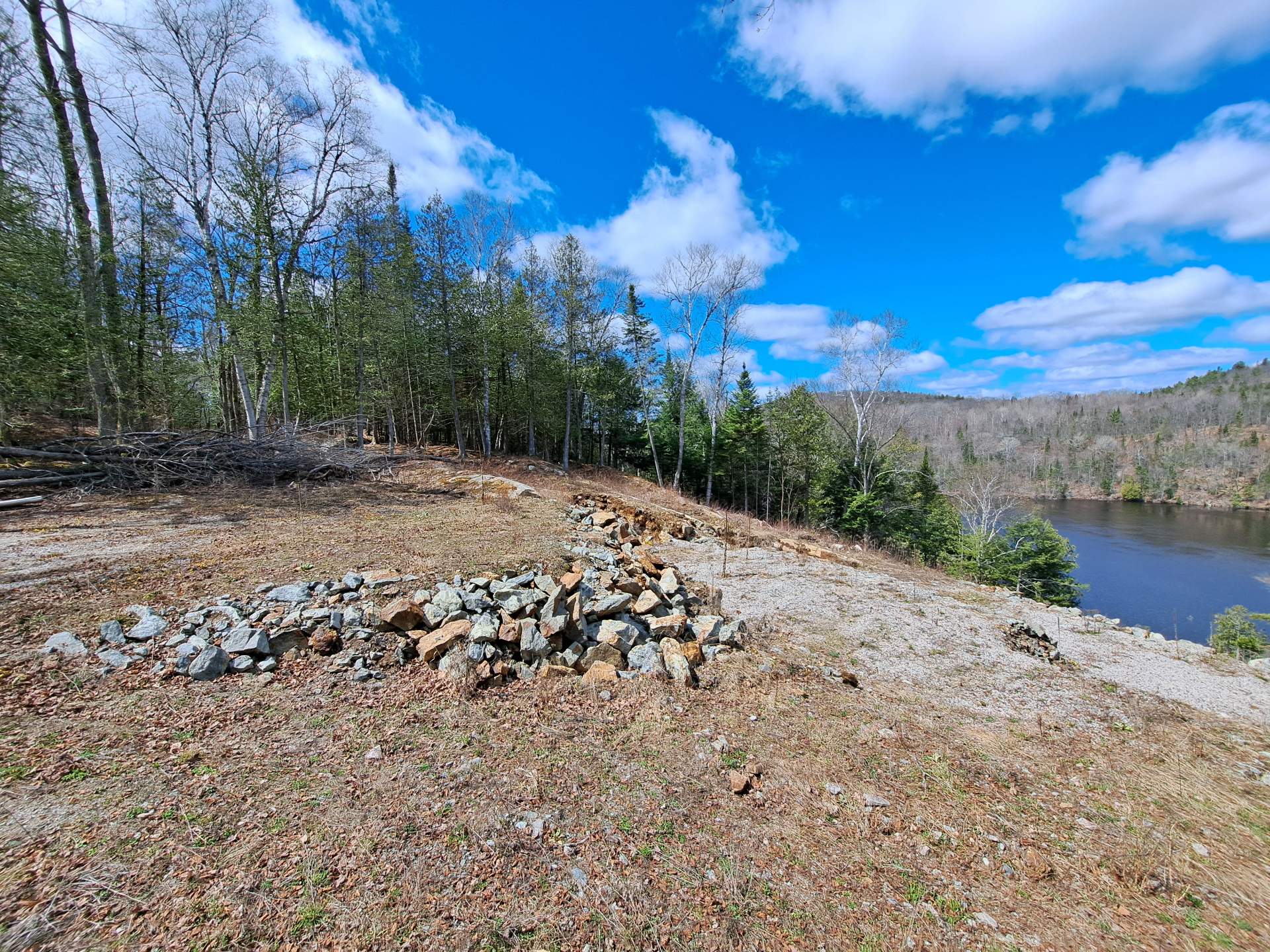 Overall View