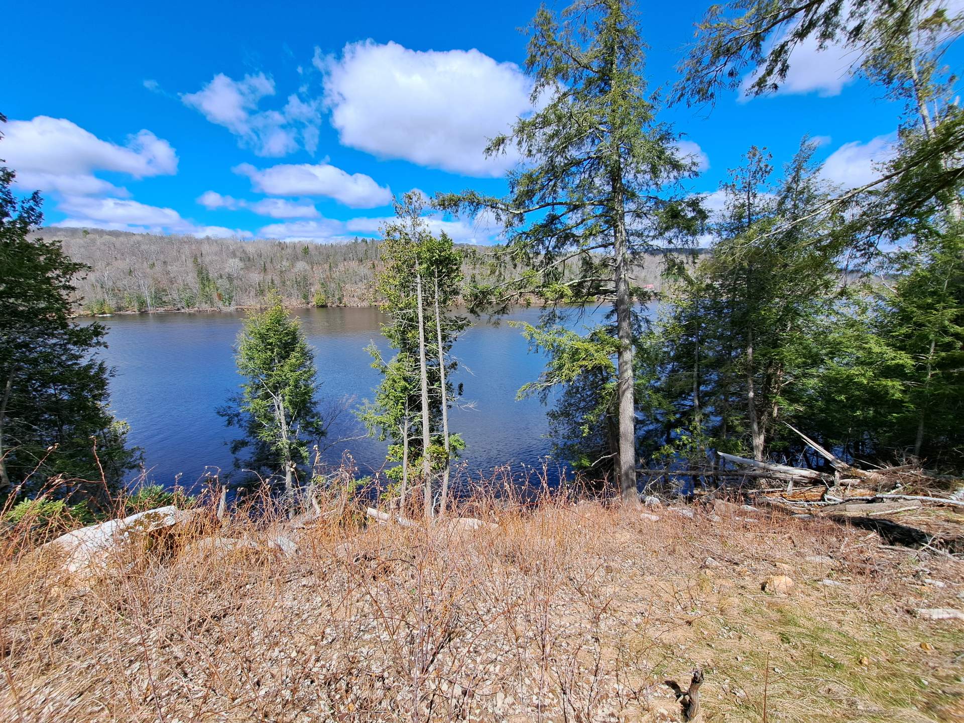 Water view