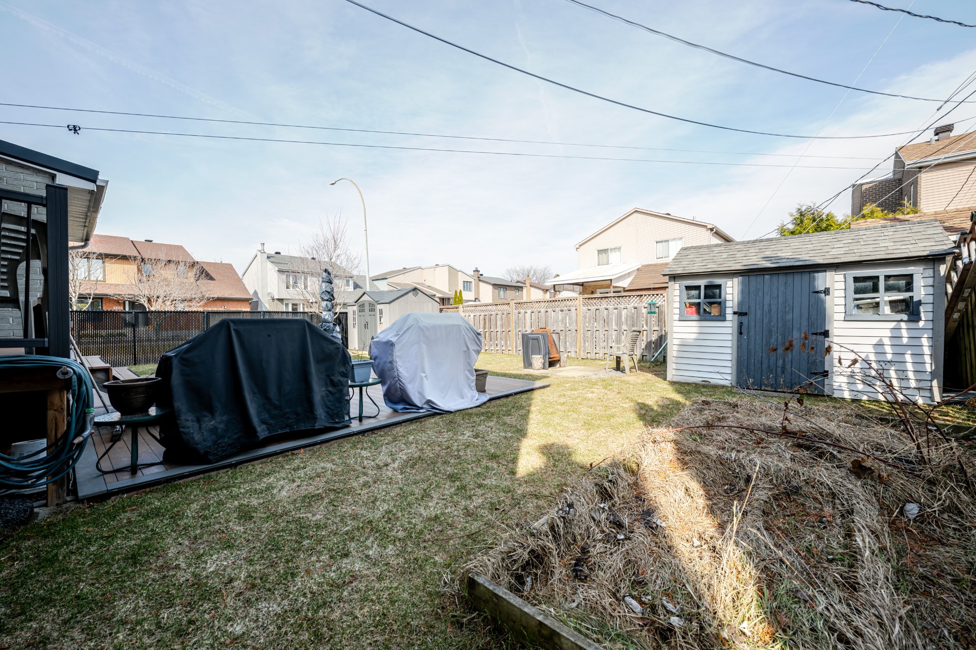 Backyard