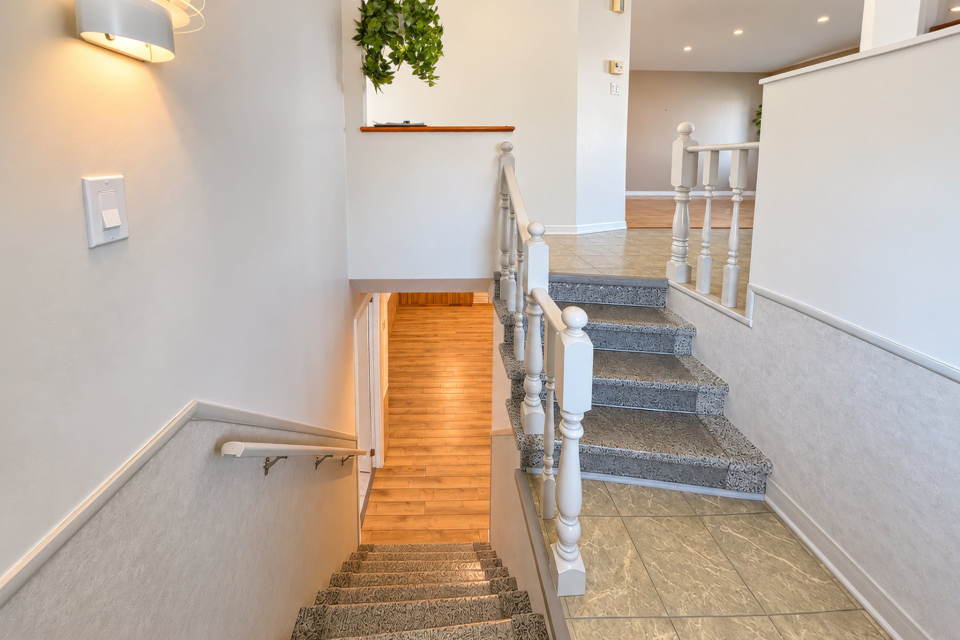 Hall d'entrée/Vestibule