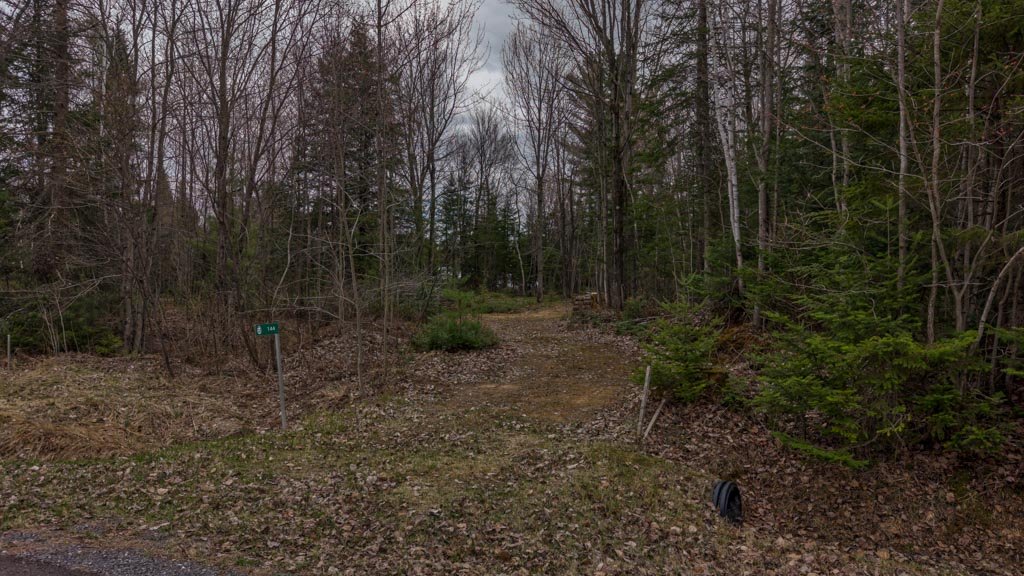 Terre/Terrain