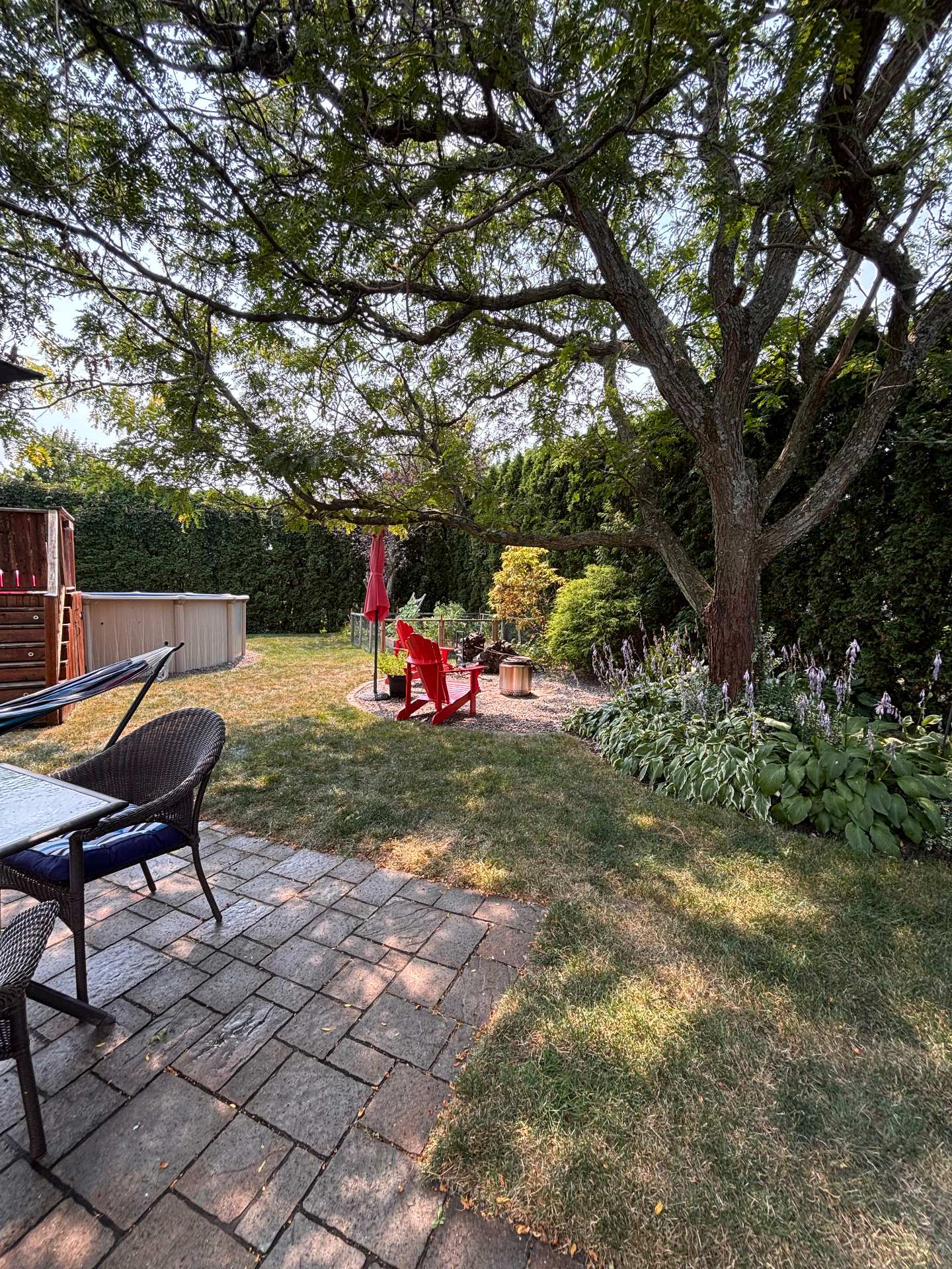 Coin feu extérieur avec bel arbre mature