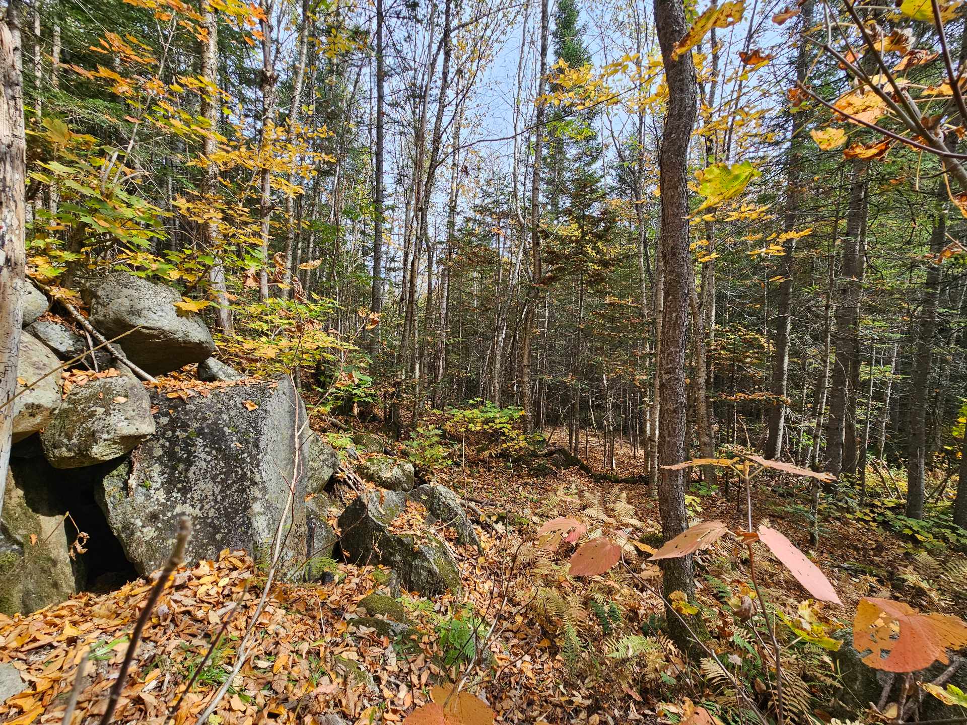 Terre/Terrain