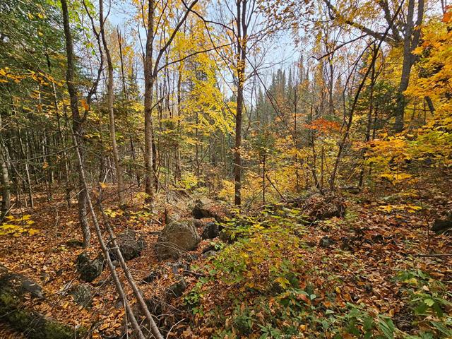 Terre/Terrain