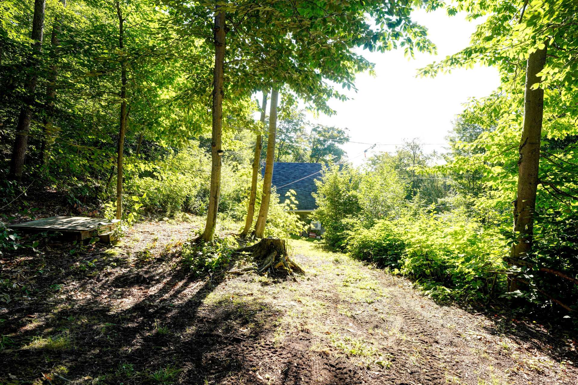 Terre/Terrain