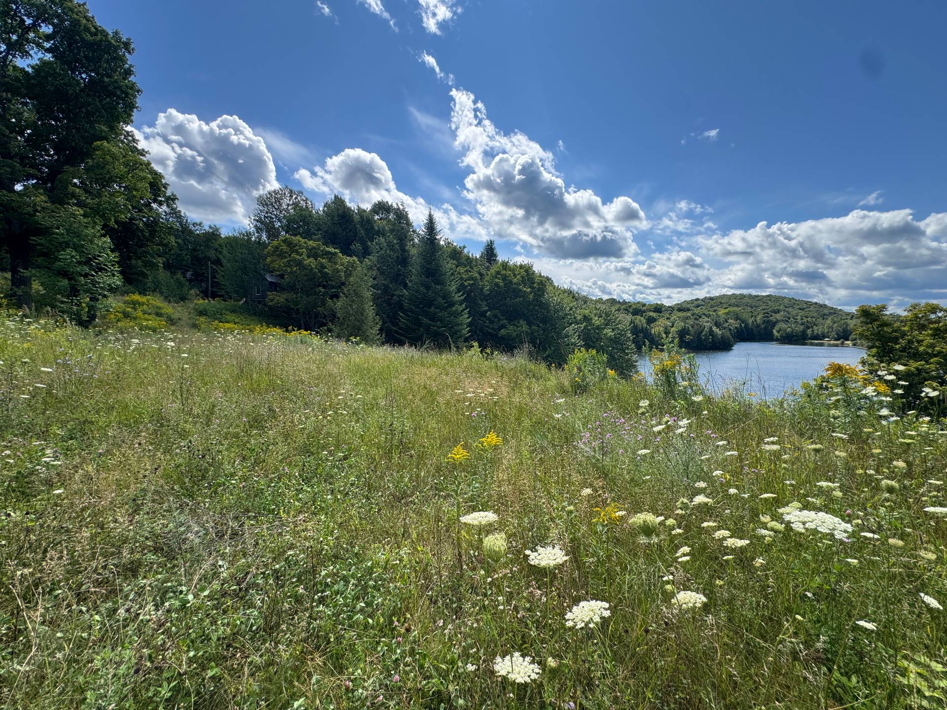 Vue sur l'eau