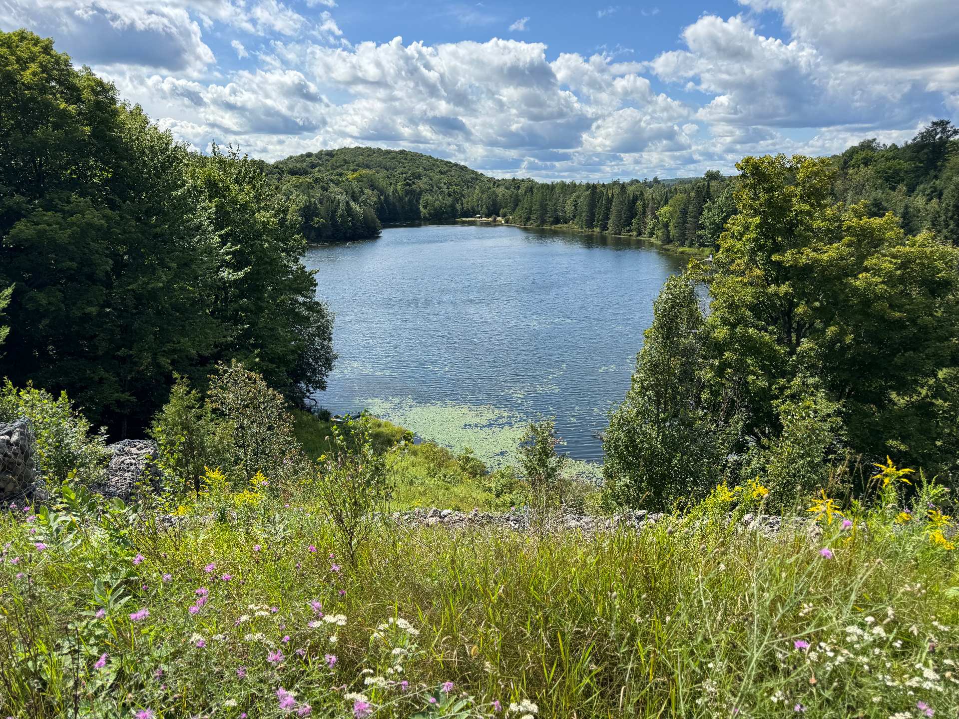 Vue sur l'eau