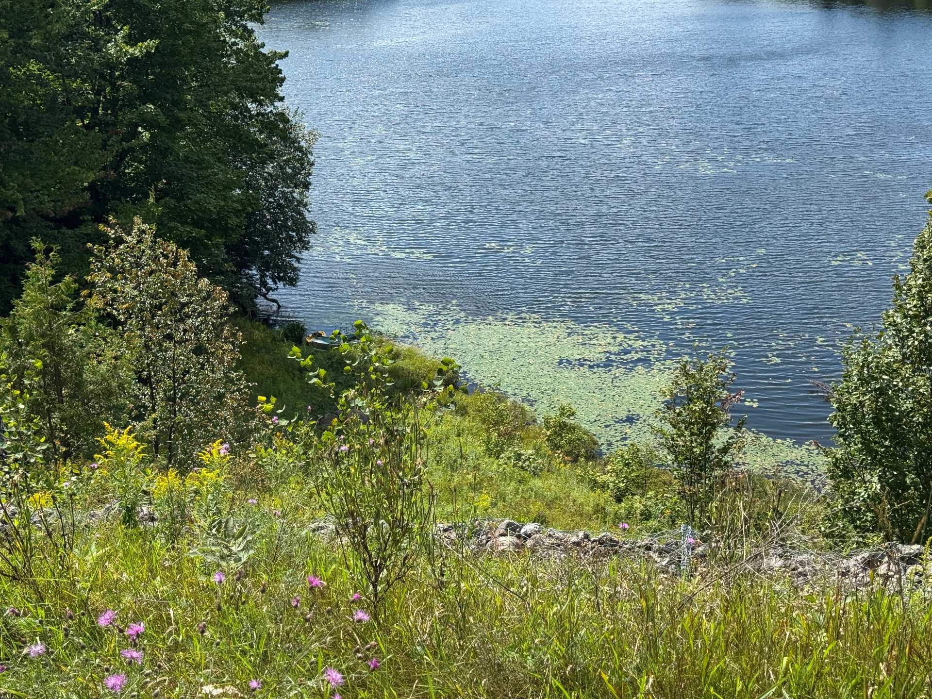 Bord de l'eau