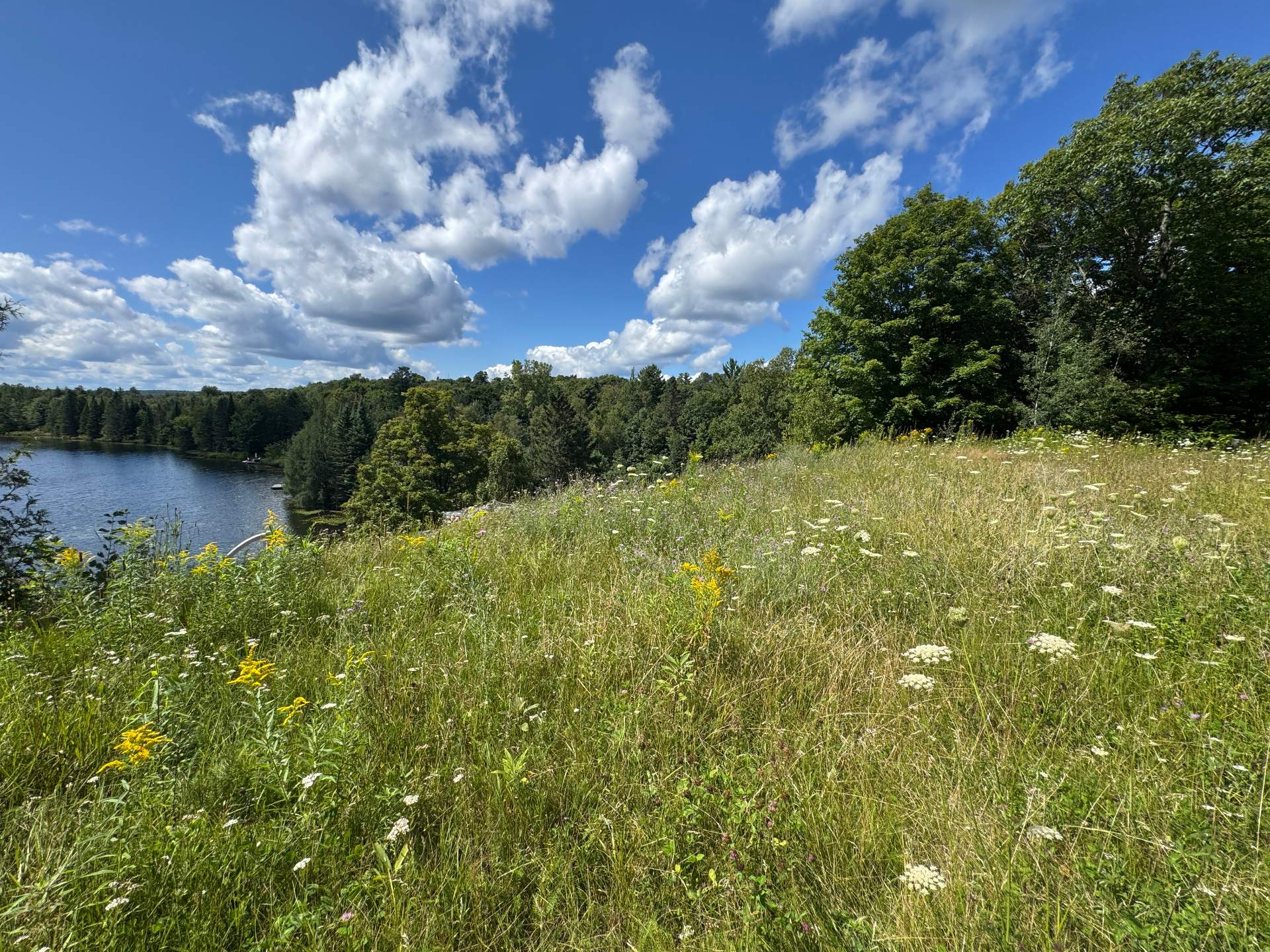 Vue sur l'eau