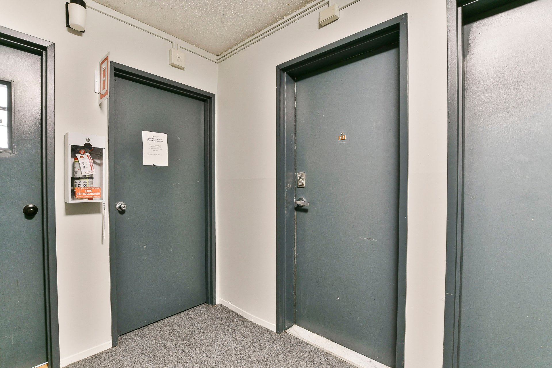 Hall d'entrée/Vestibule