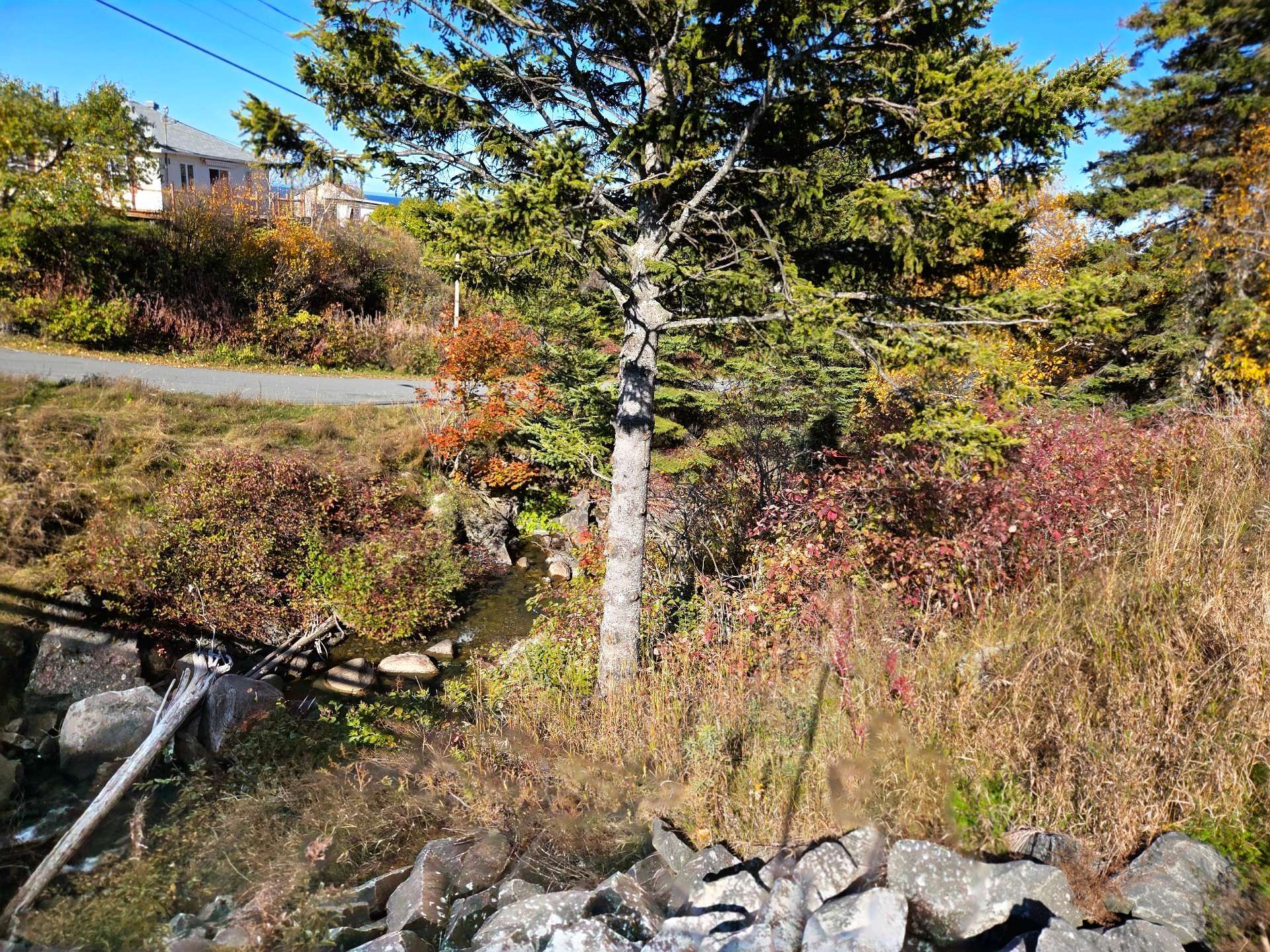Accès au plan d'eau