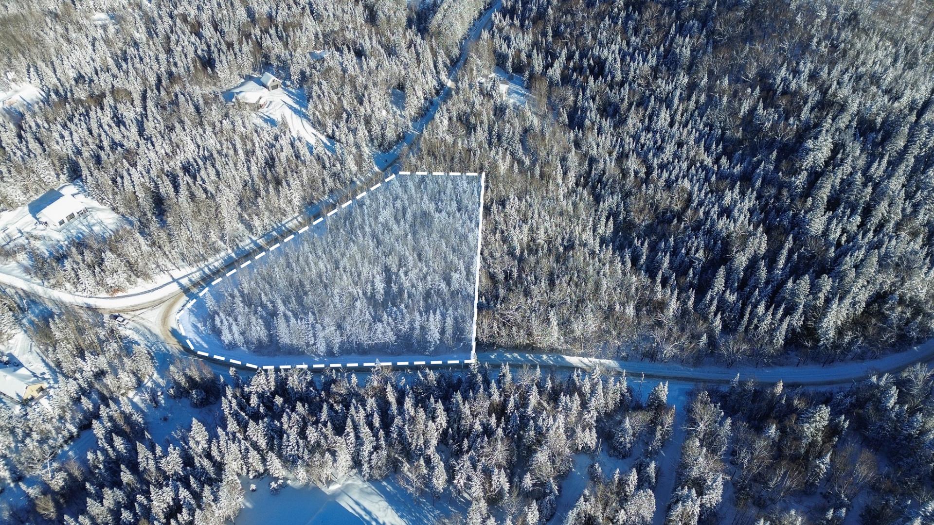 Overall View