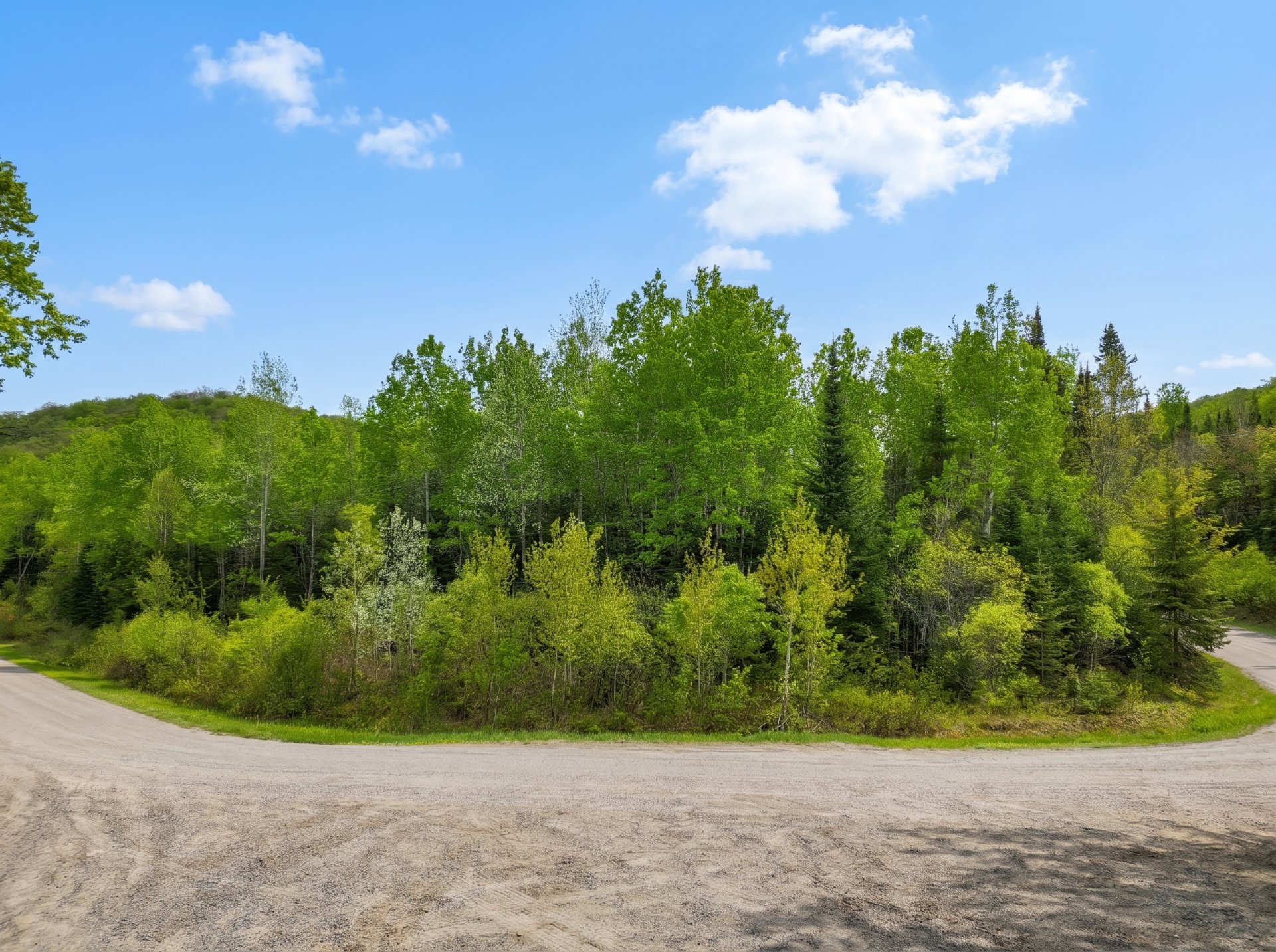 Land/Lot