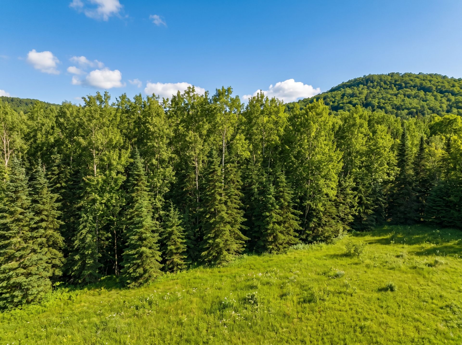 Land/Lot