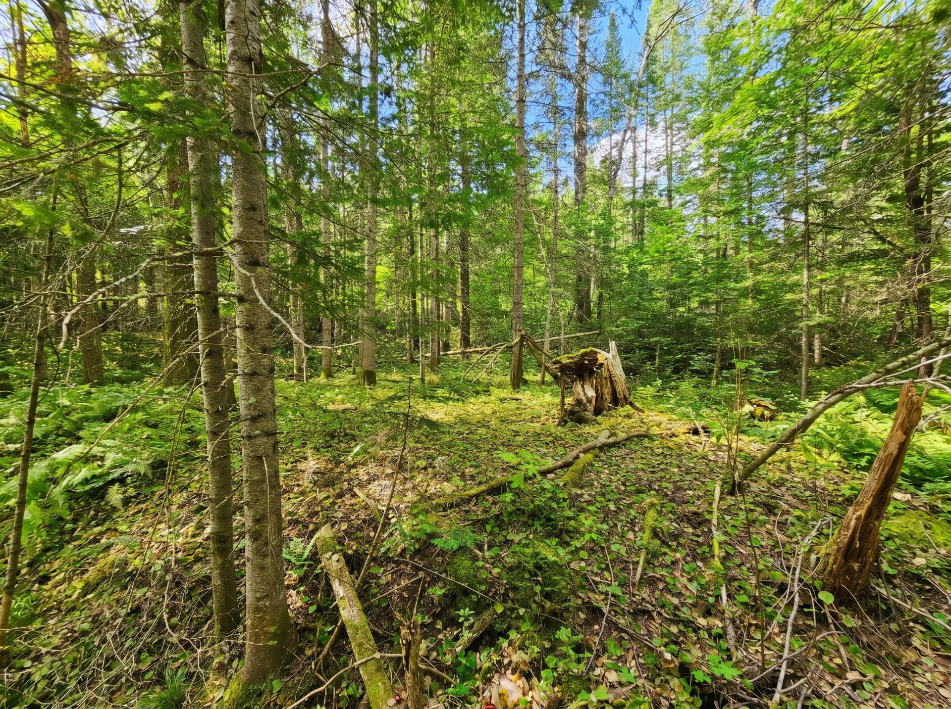 Land/Lot