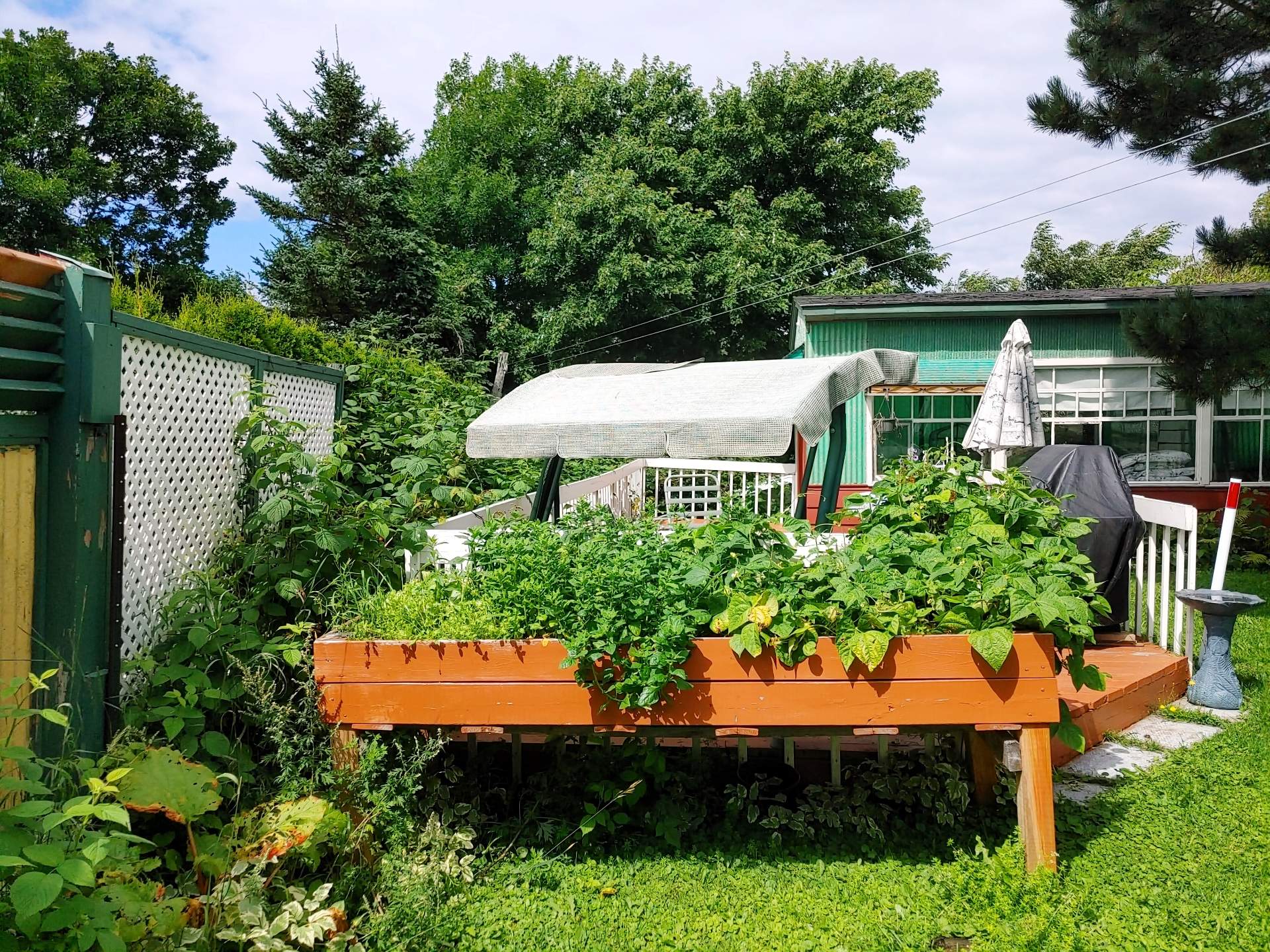 Terrasse