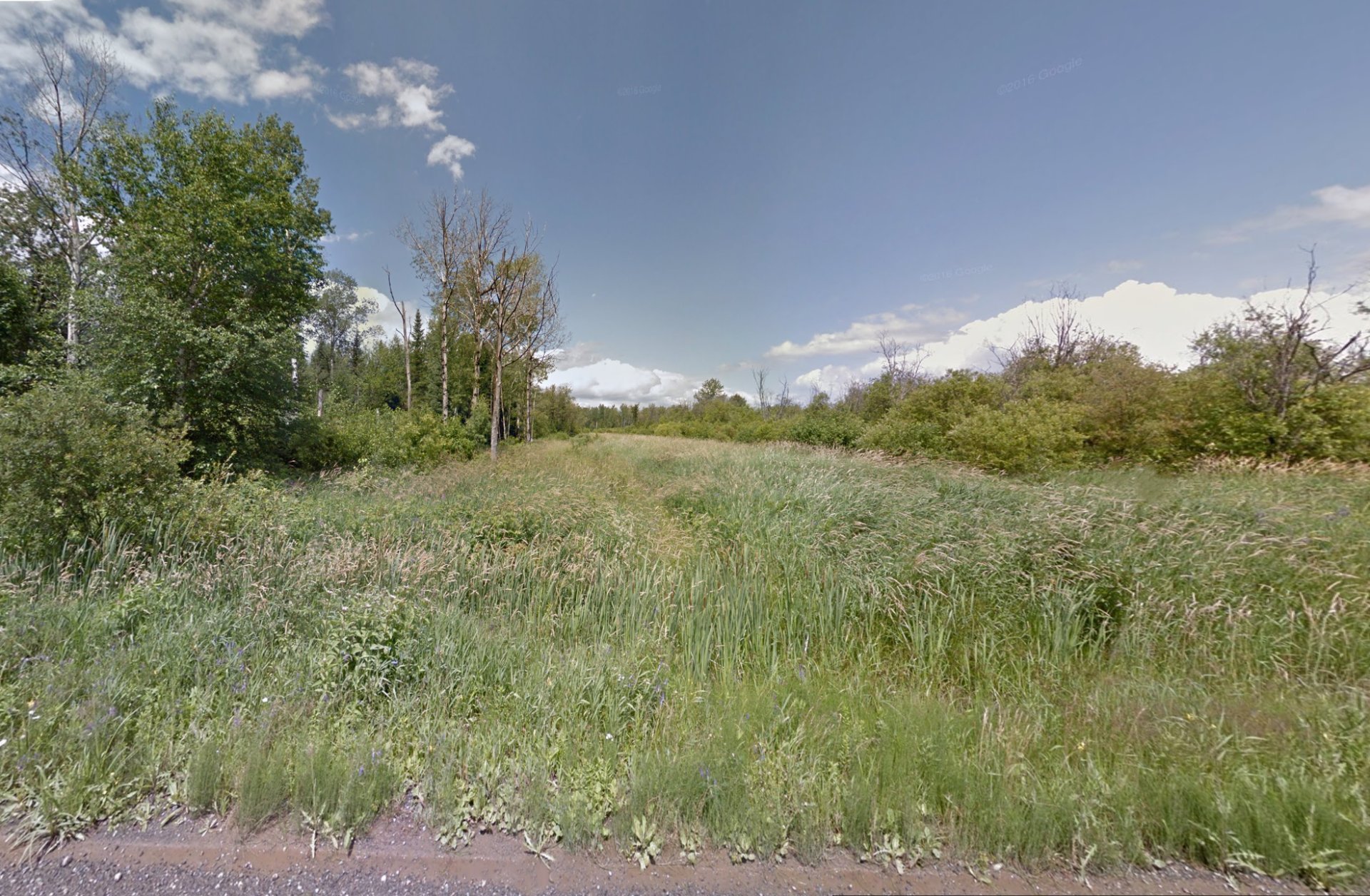 Land/Lot